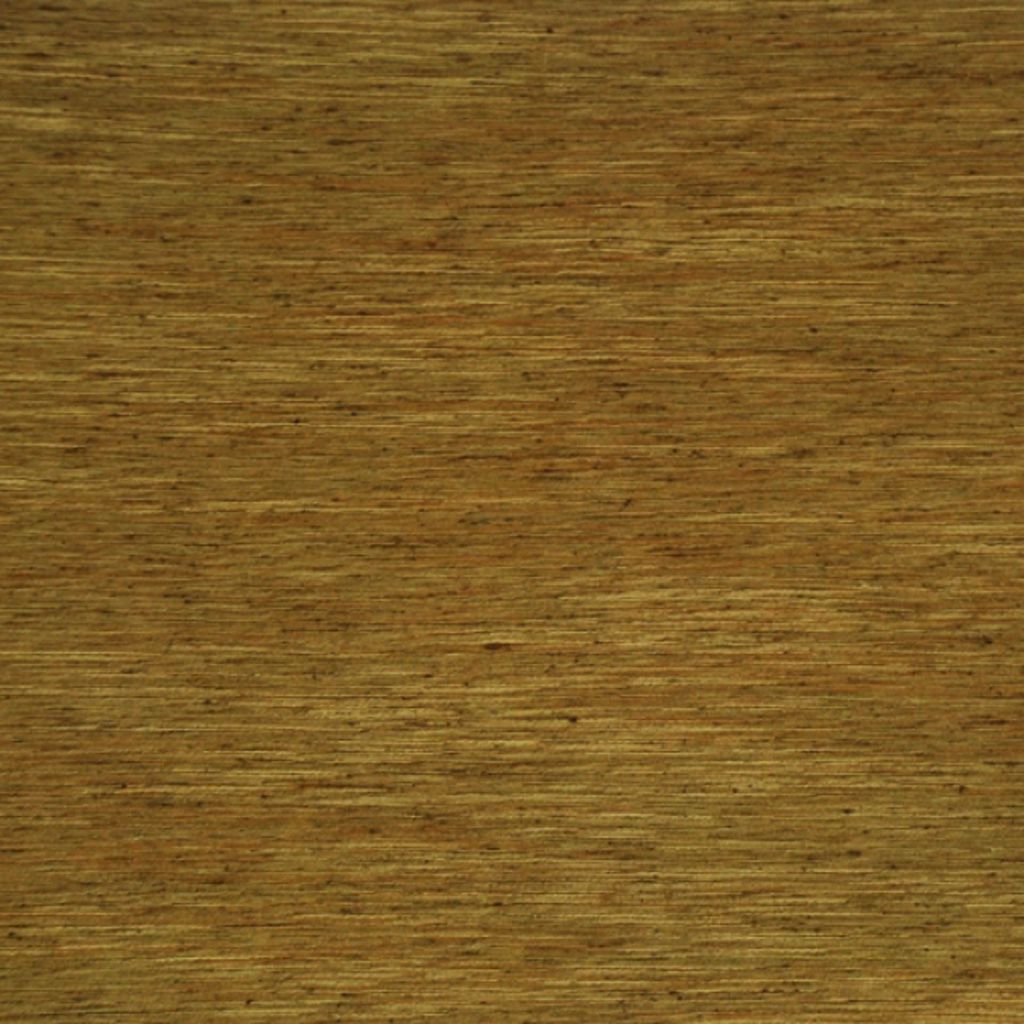 SALVATORE – Camel