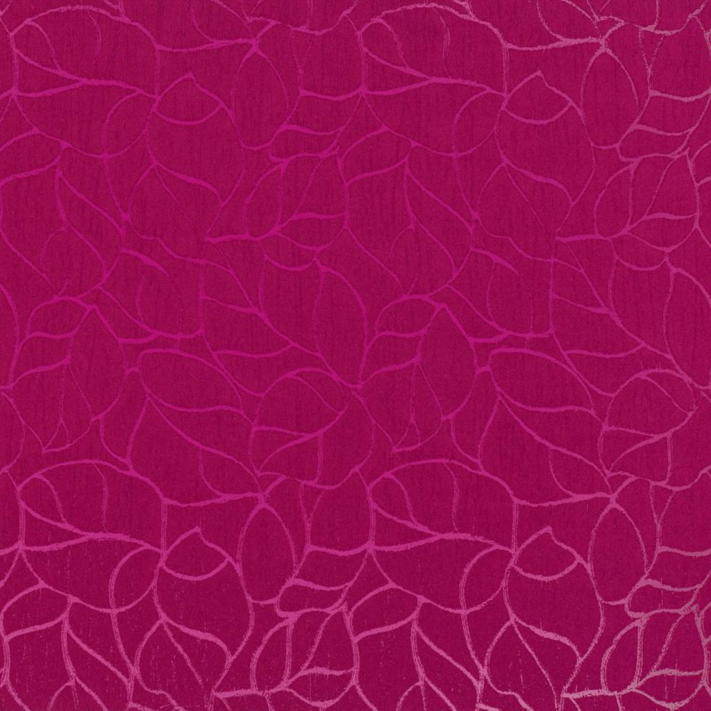 STEELERS – ANEMONE