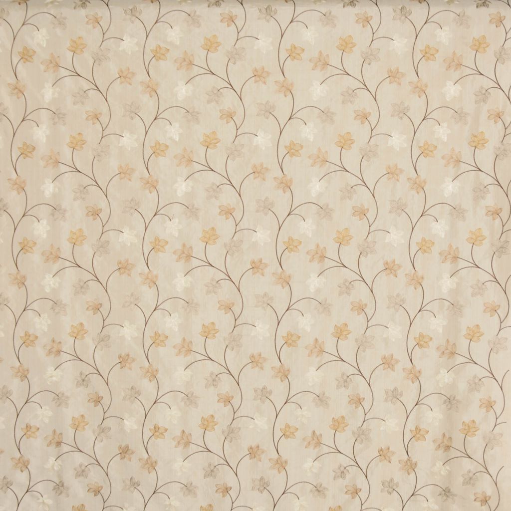 A0361 – LATTE