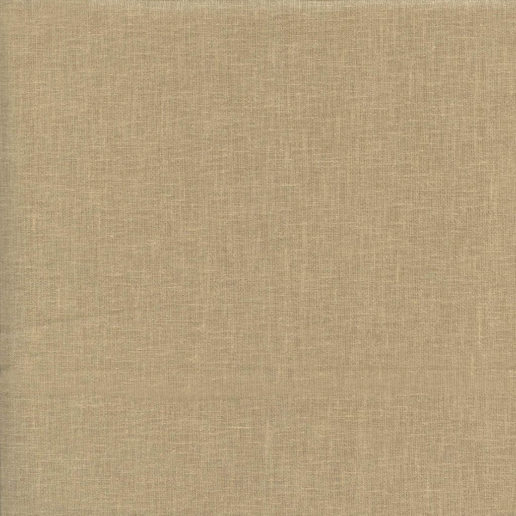 ADDISON – Camel