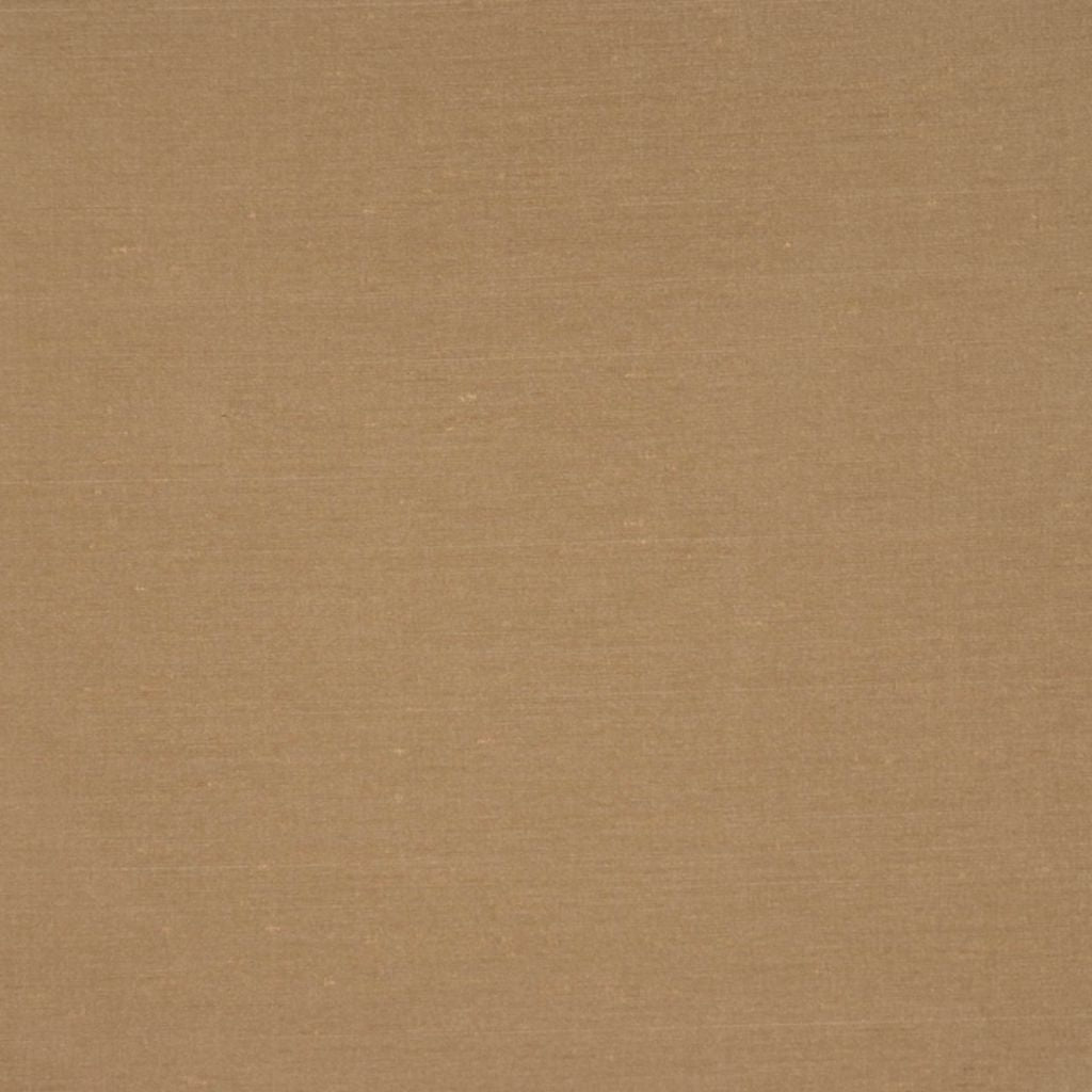 CARINA – BARK