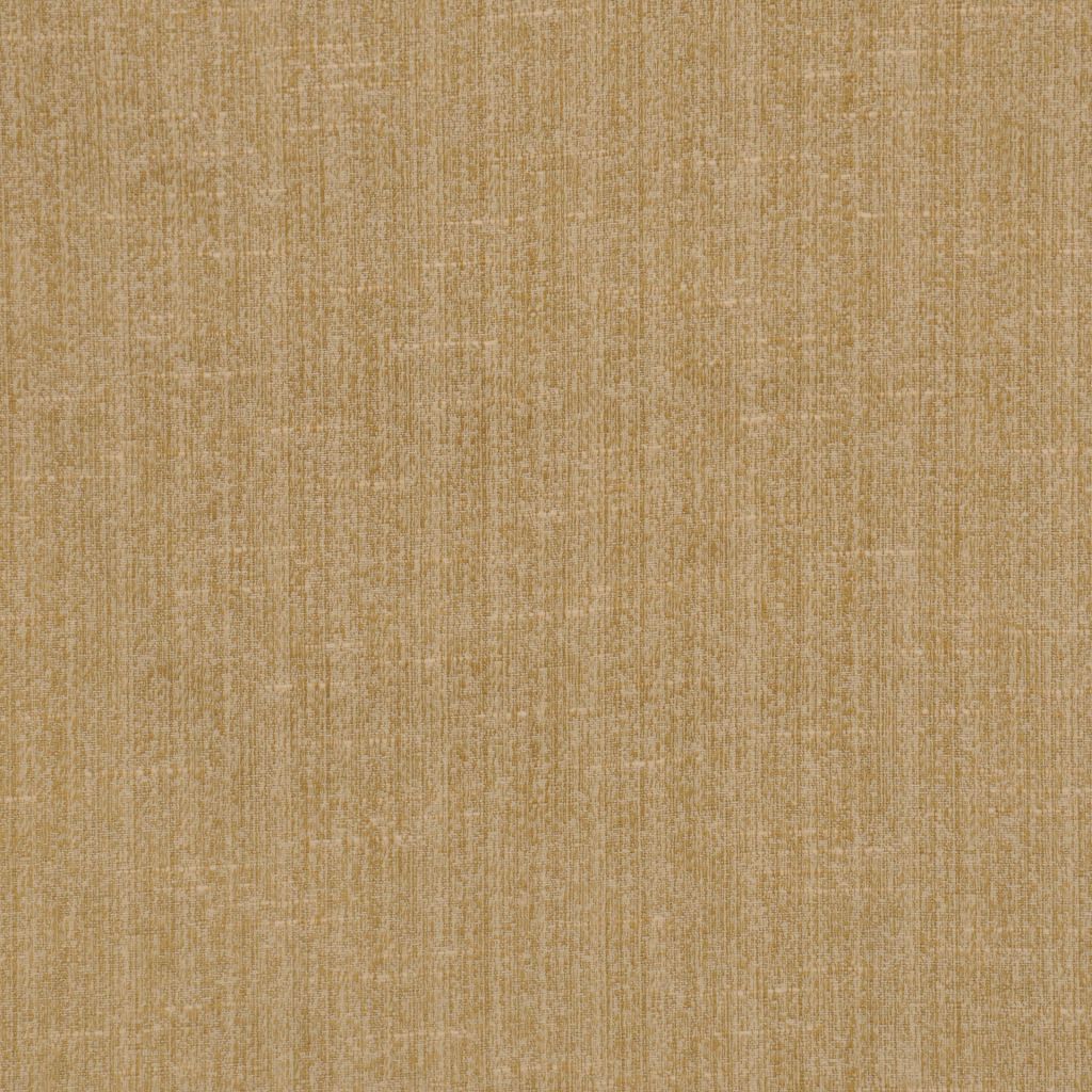 COLUMBIA – CAMEL