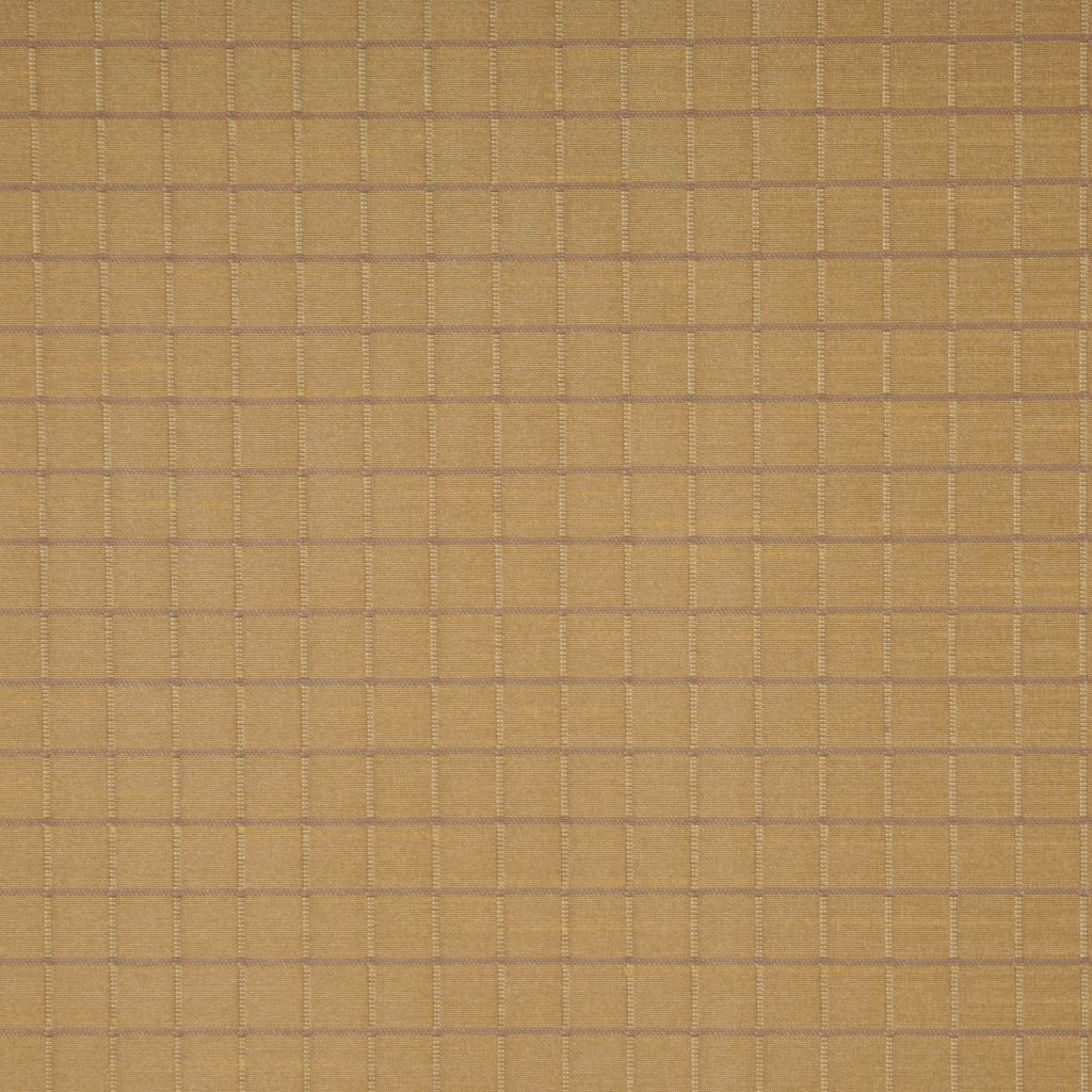 FANCY – MUSTARD