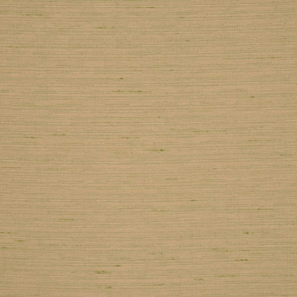 HEARSAY – OLIVE