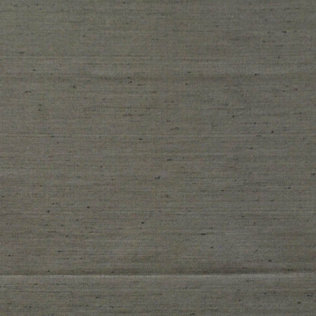 SOLID GROUND – Shark