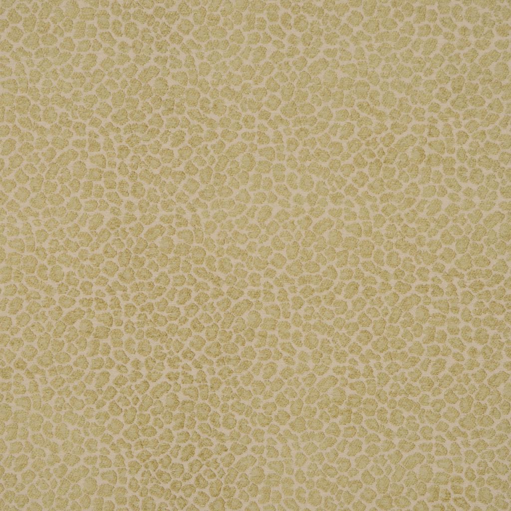 ANIMAL INSTINCT – Parrot