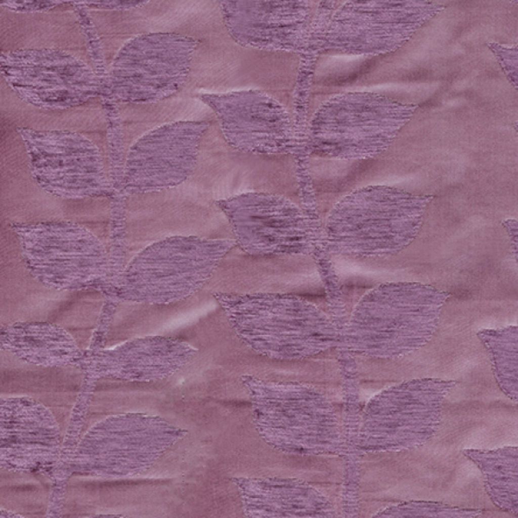 BIRTHDAY – Plum