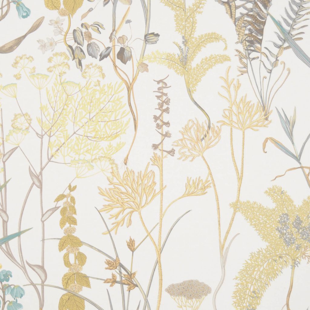 CAIRO – MORNING DEW