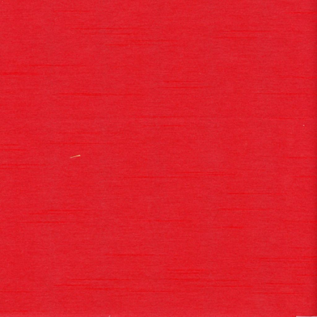 CHORUS – Carnation