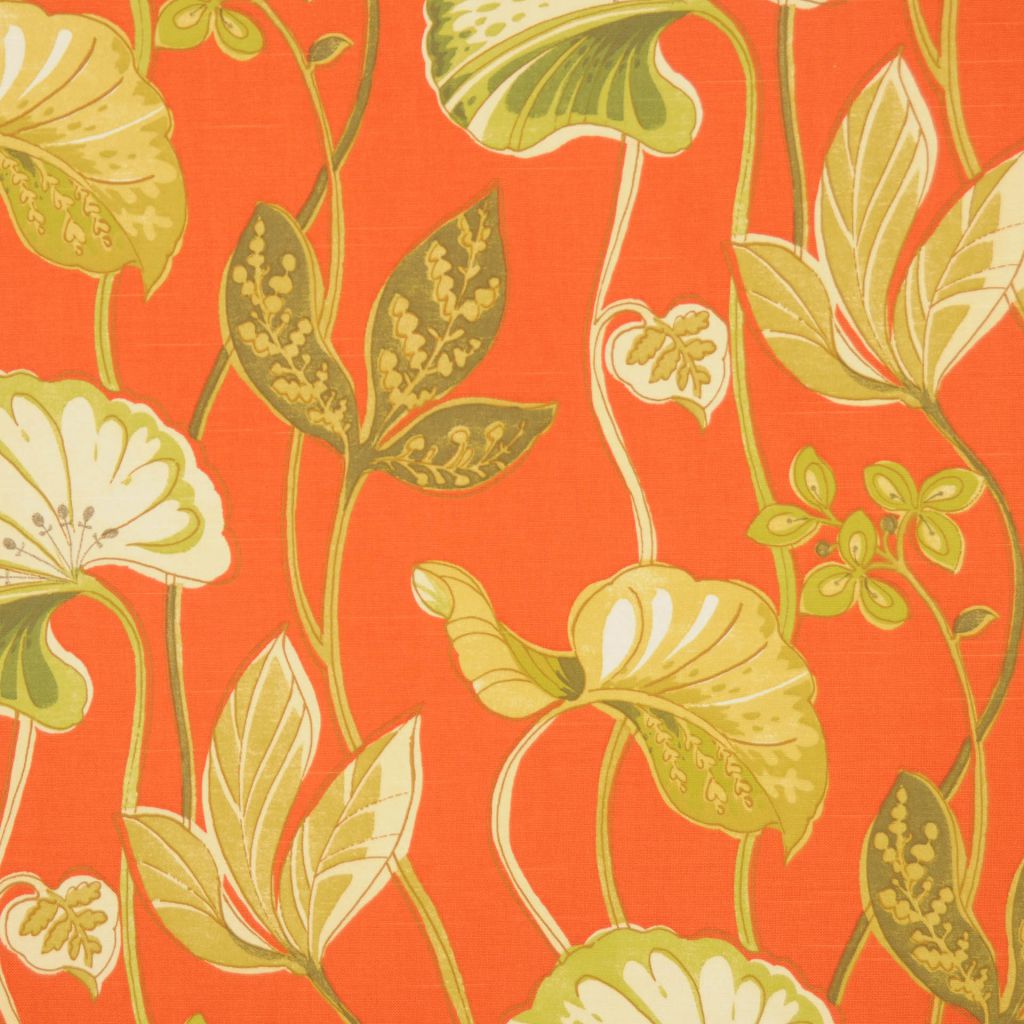 DANVILLE – CORAL