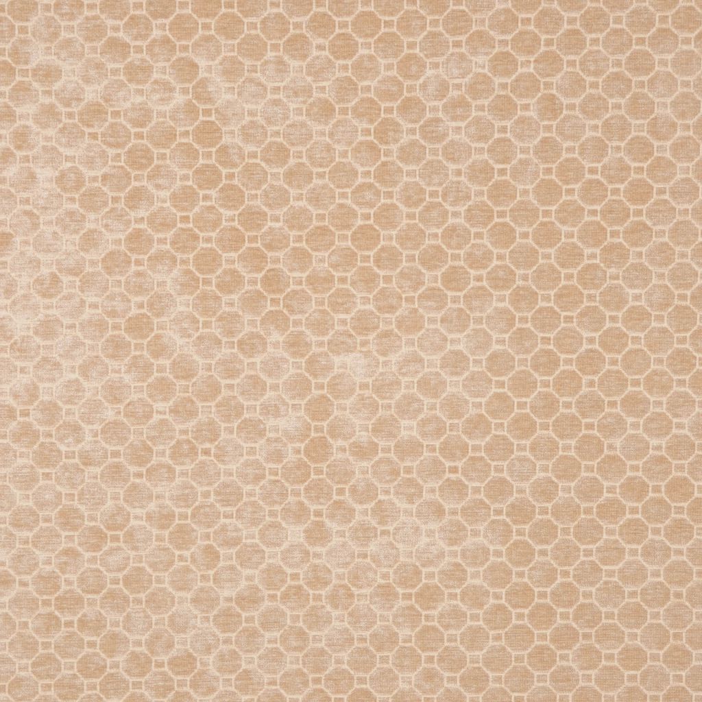 JERSEY – PARCHMENT