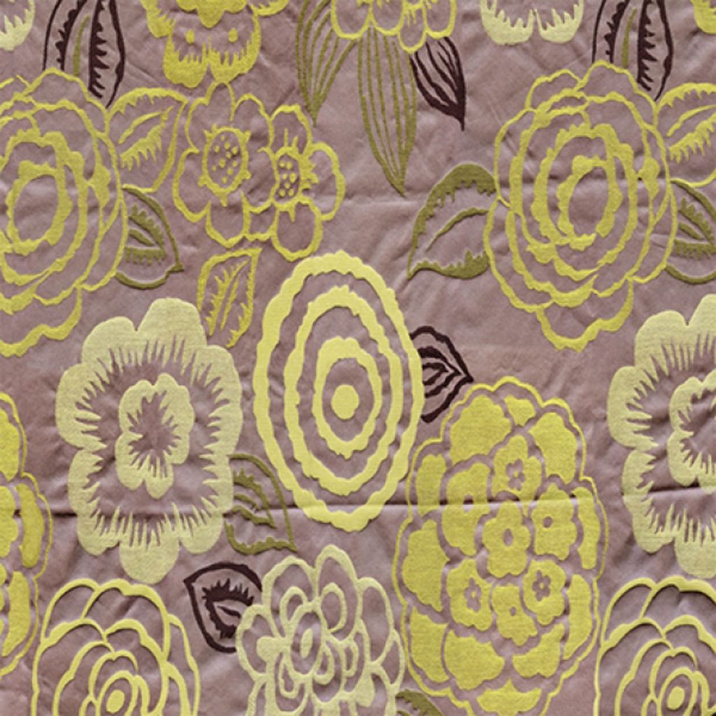 TRANSFORMATION – Thistle