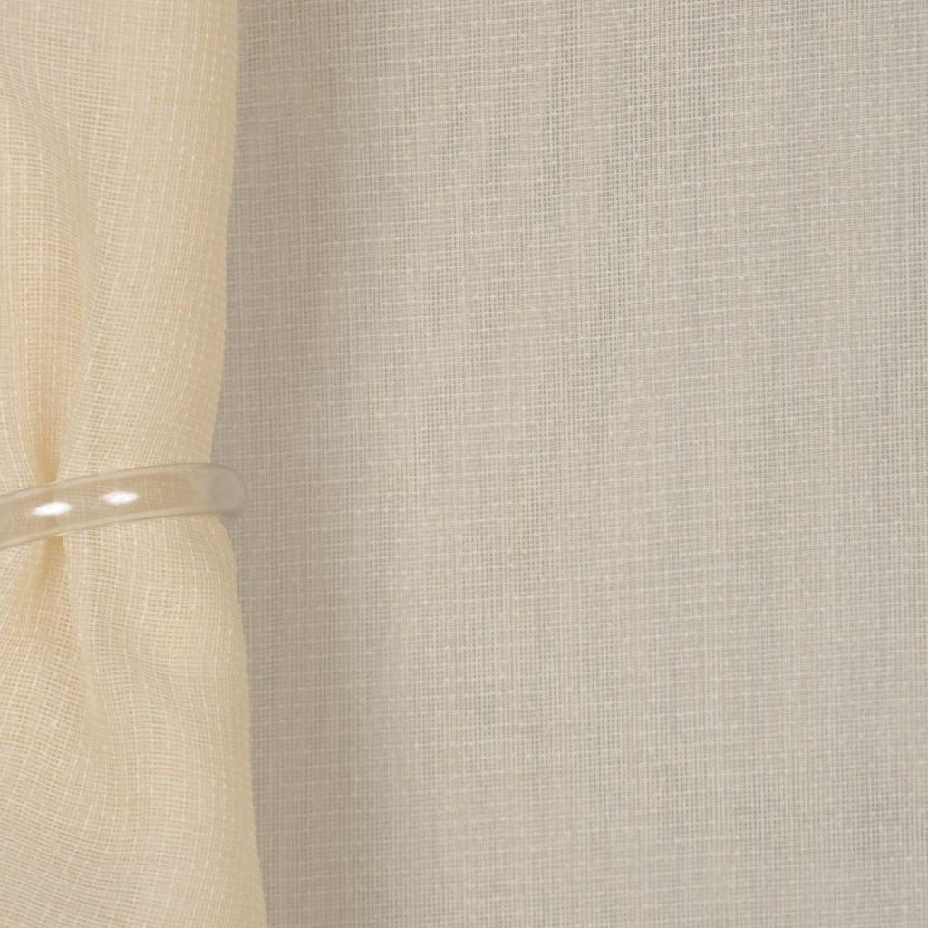 GLADIOLI – CEDAR