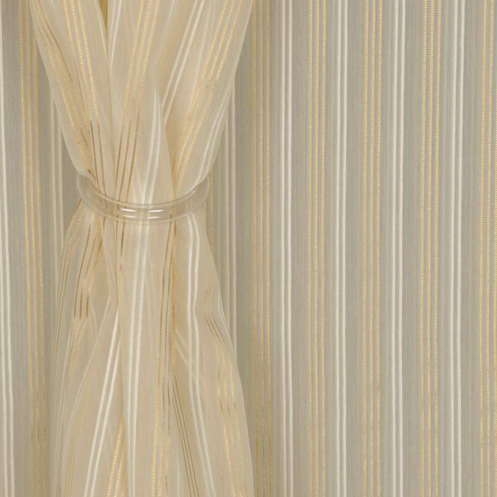 HOSTA – CHAMPAGNE