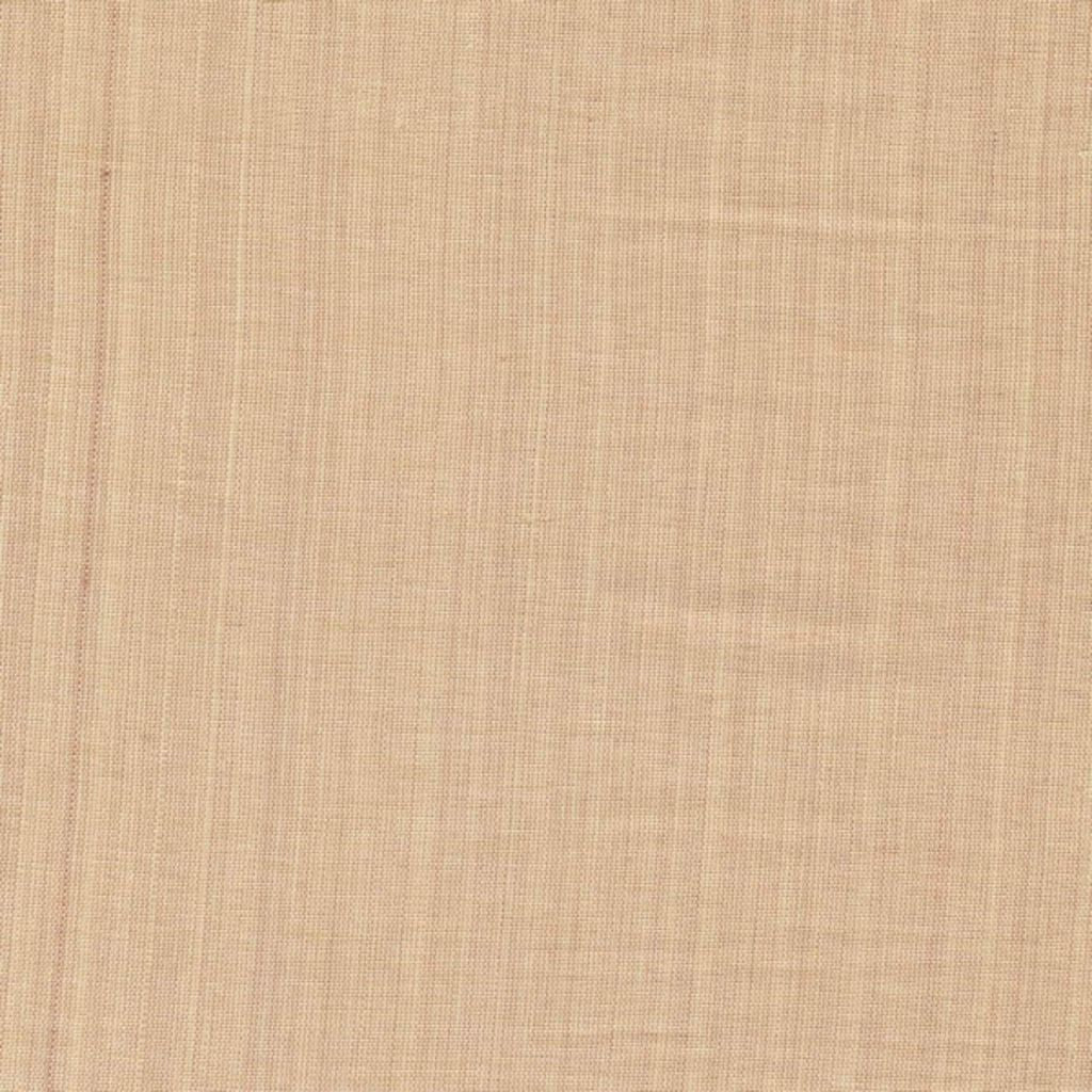 ILLUSTROUS – NOUGAT