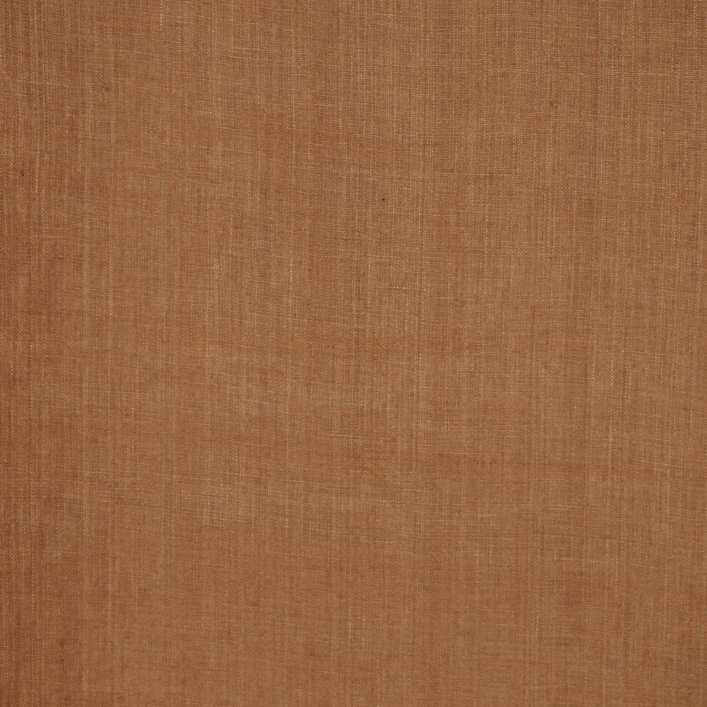 INSIGHT – CARDAMON