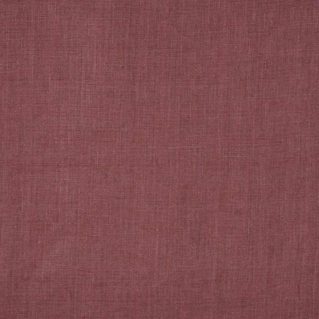 INSIGHT – PRUNE
