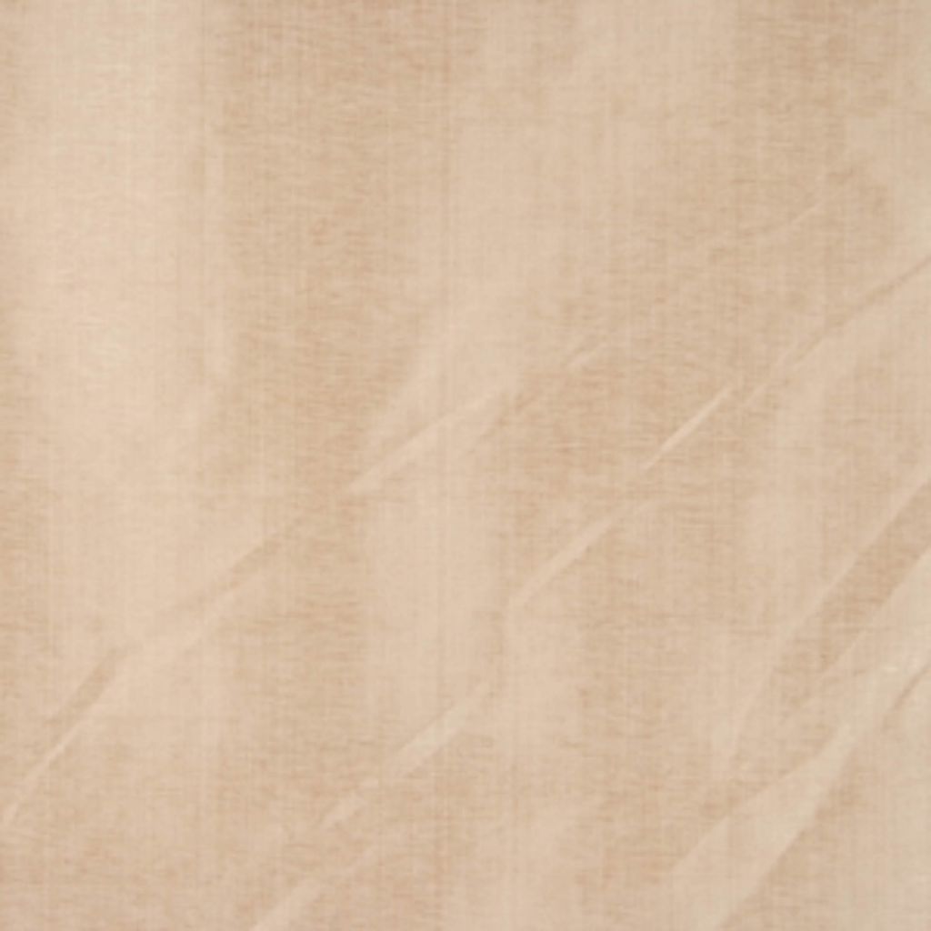 RYE – CAMEL