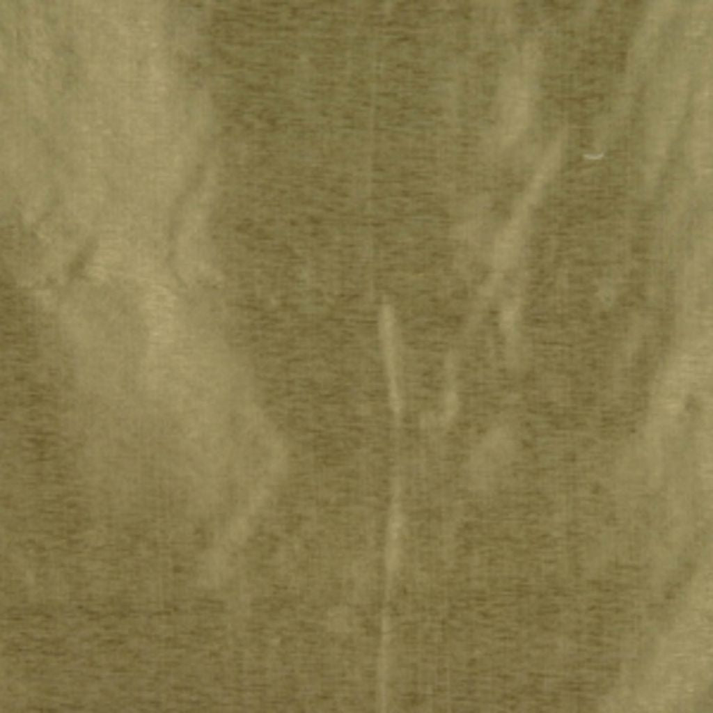 RYE β PALM