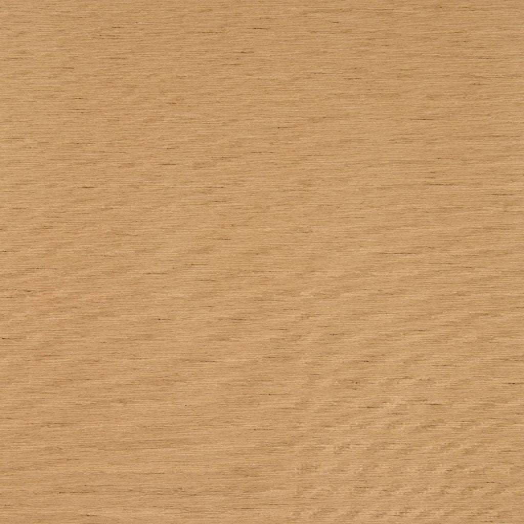 SWANK – CAMEL