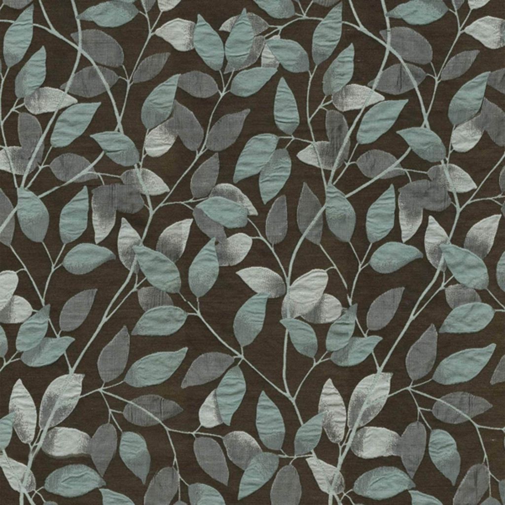 EXCEPTION TO THE RULE – AQUA