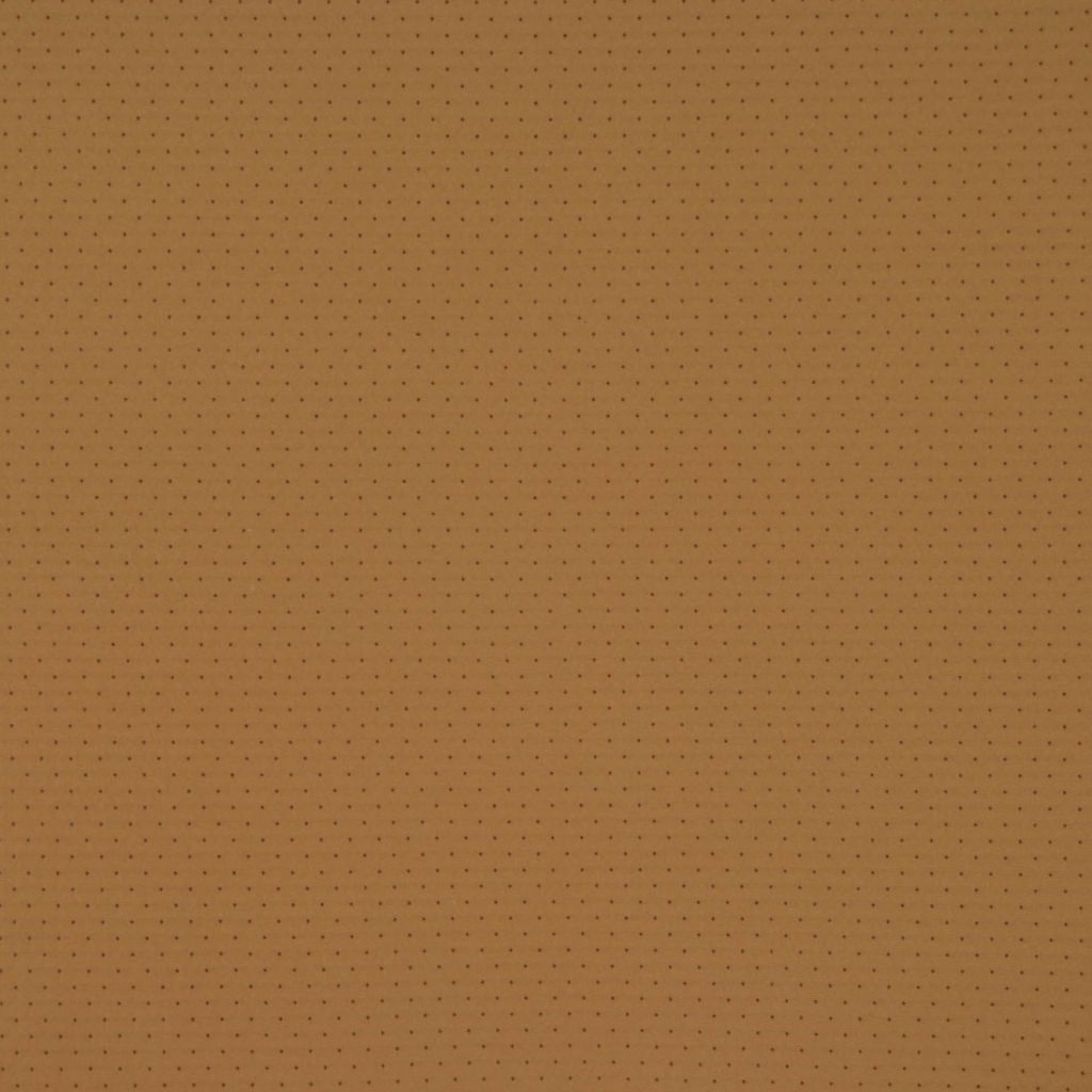 SIDECAR – SAFARI
