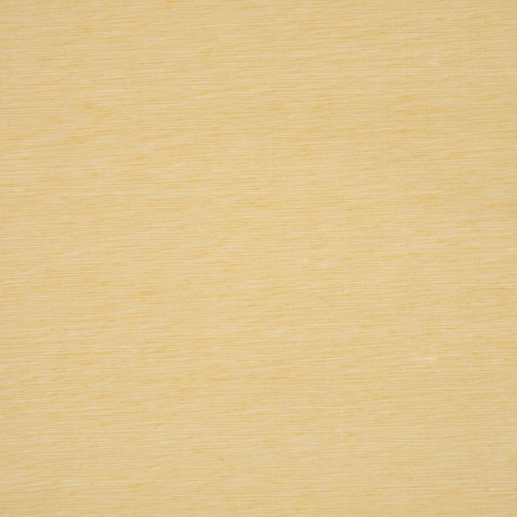 ROME – BANANA