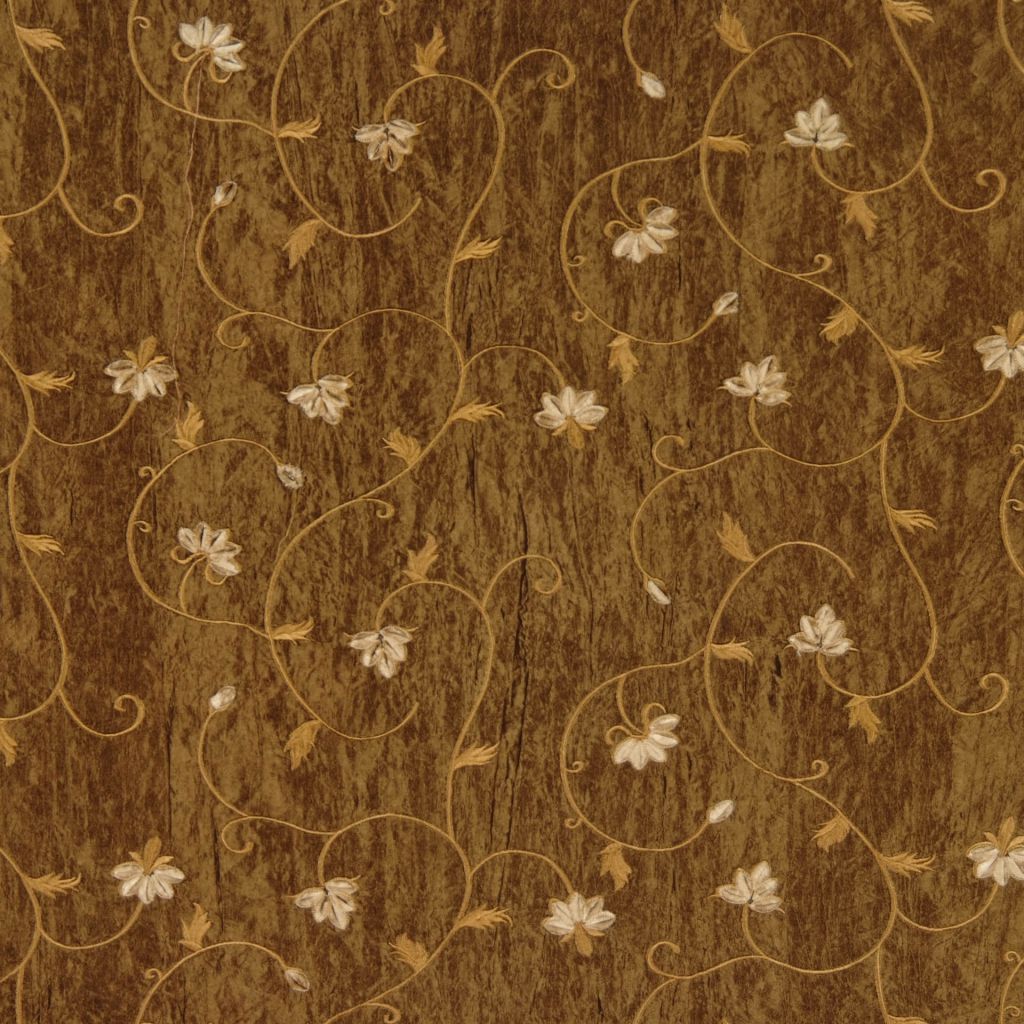 MAGNESIUM – TORTOISE