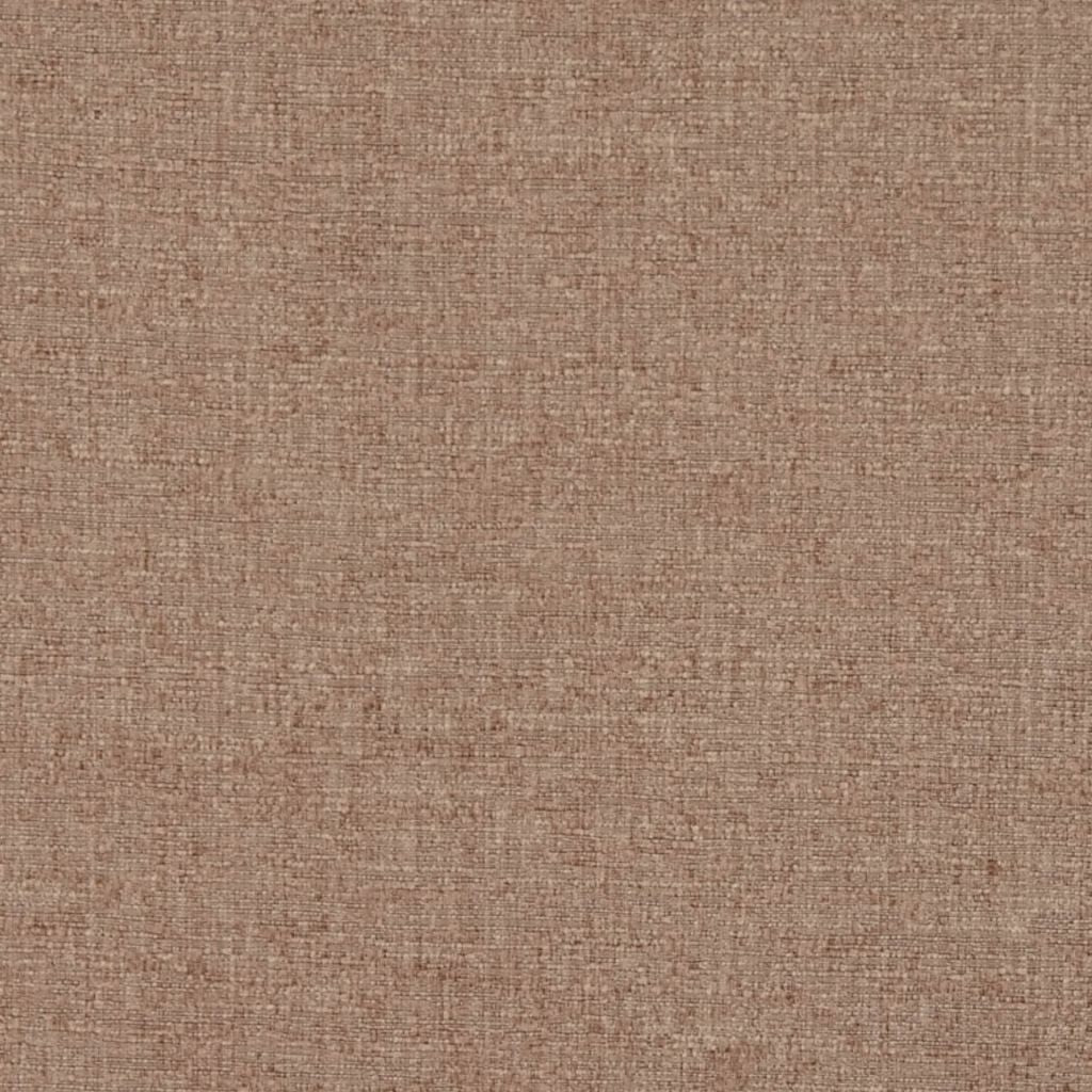 ADAPTATION β BRONZE