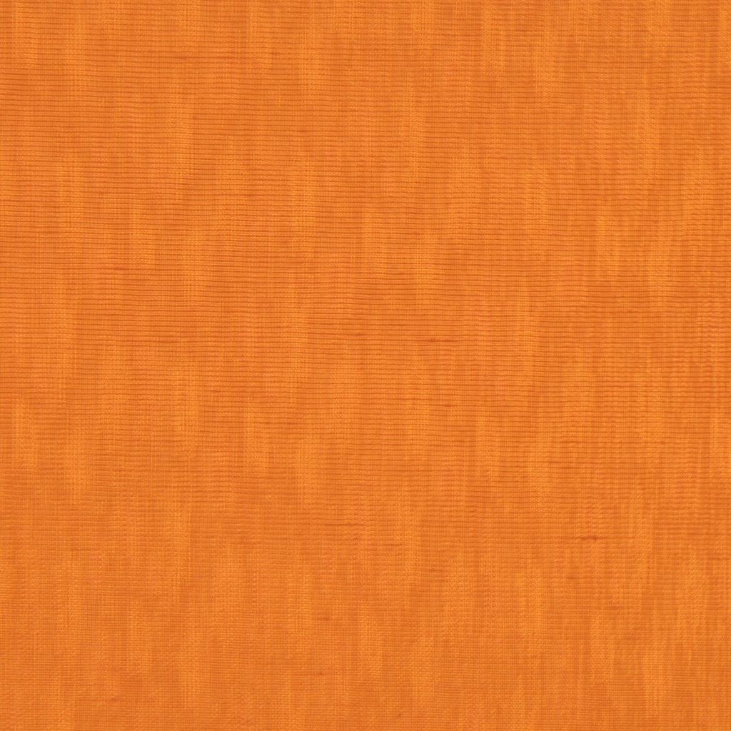 SILHOUETTES – DOCUMENT