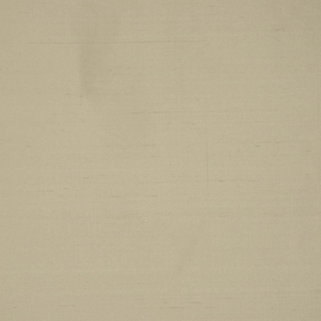 INTUITION – DRIFTWOOD