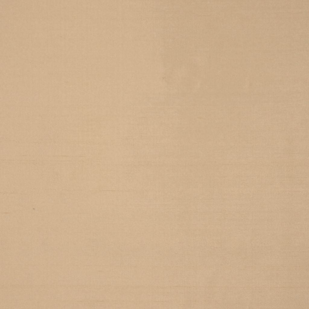 INTUITION – MUSHROOM