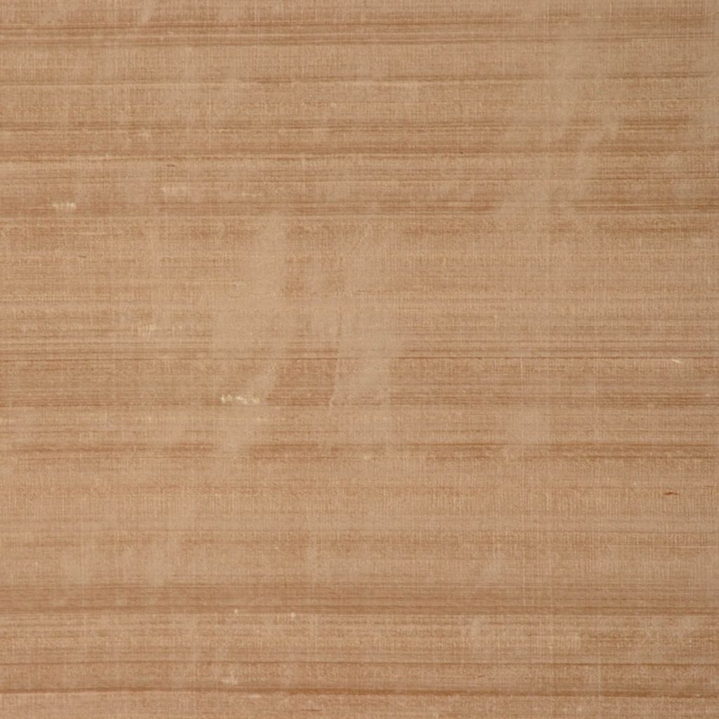 RM DUPIONI – ACORN - RM Coco Fabric