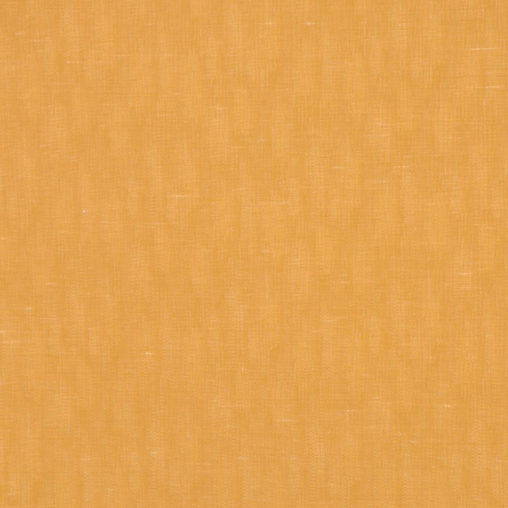 SILHOUETTES – BUCKWHEAT