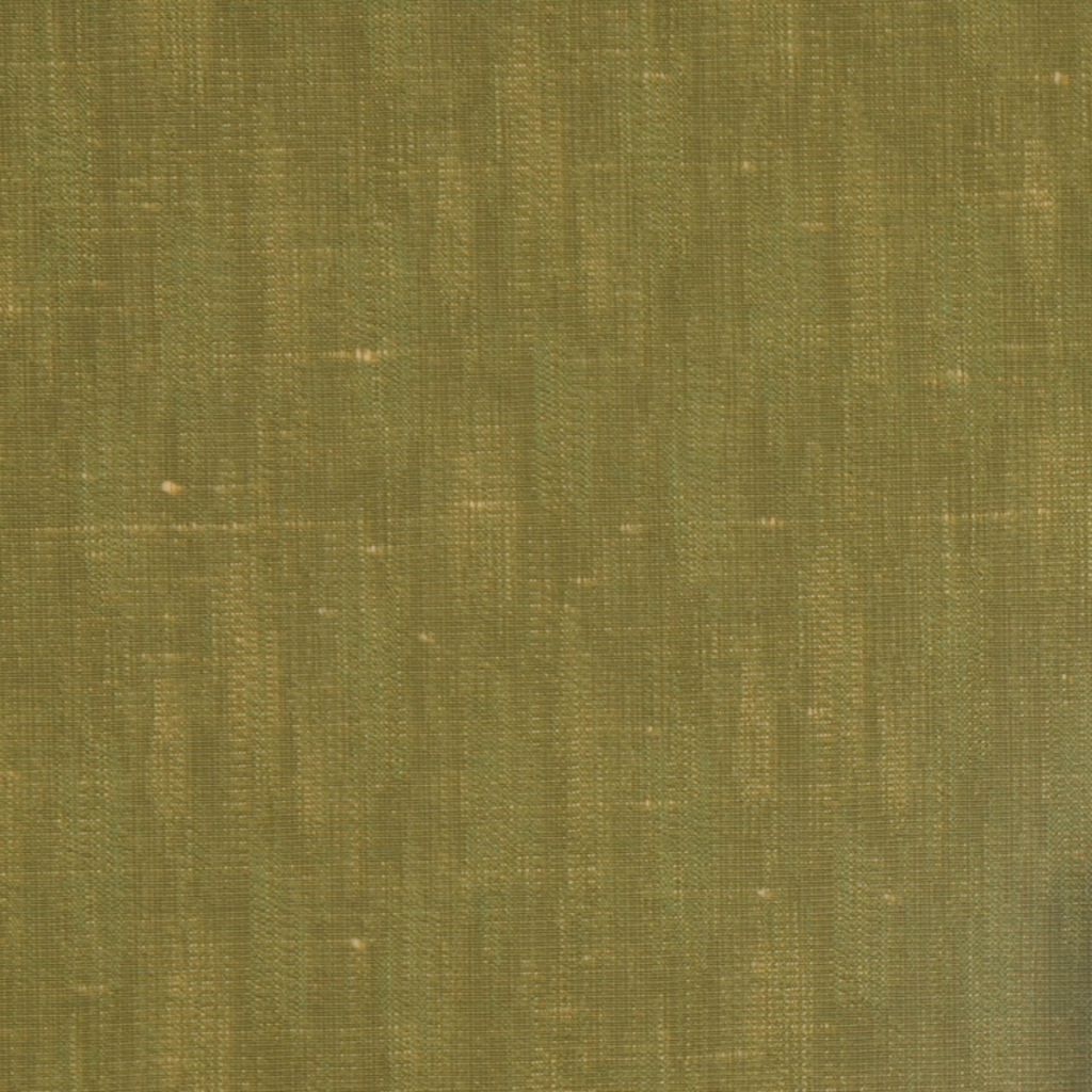 SILHOUETTES – STEM