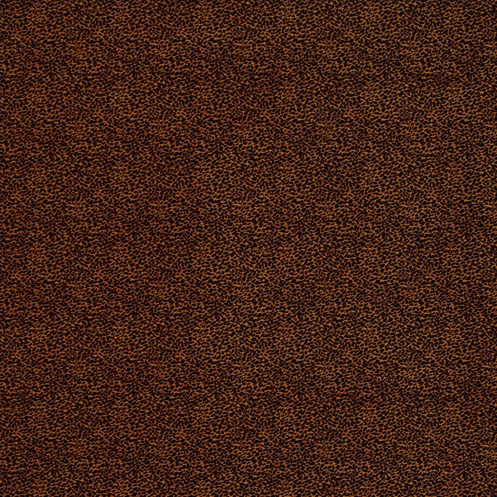 W165 – 1703