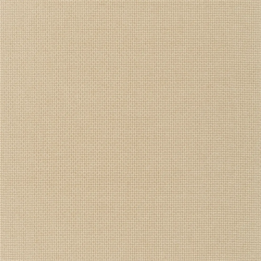 PRL5080/02 Baileyana Straw Wallcovering by Ralph Lauren