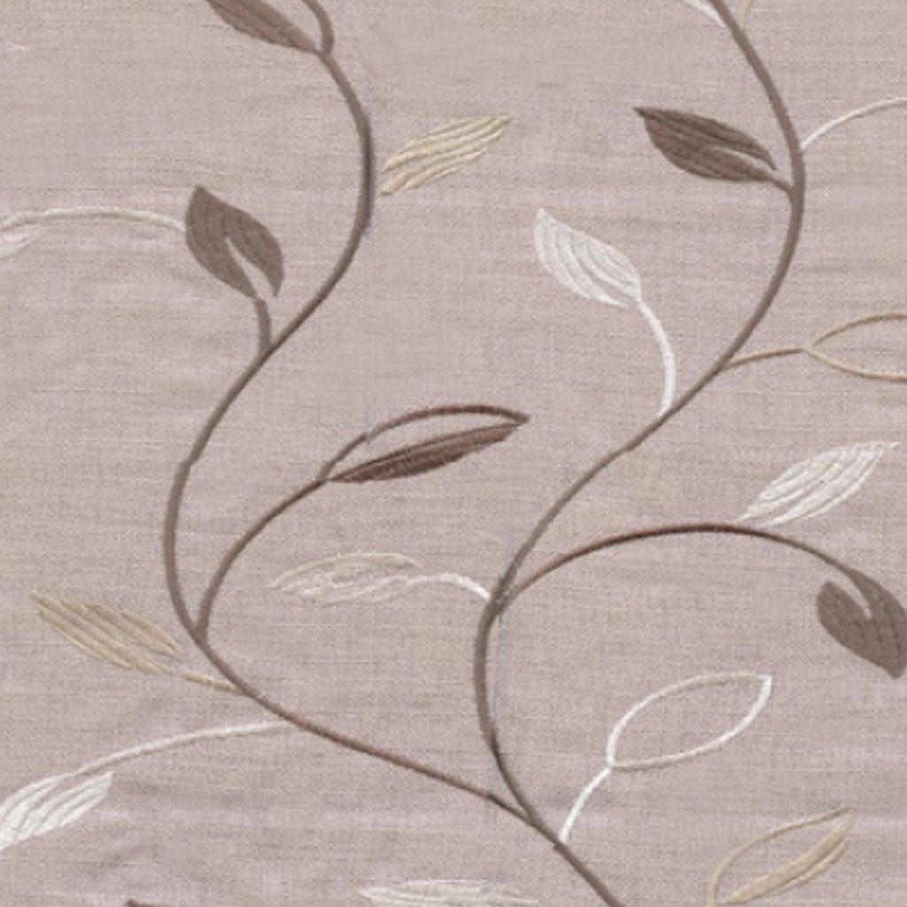 OPTIMISM – CREAM/BROWN