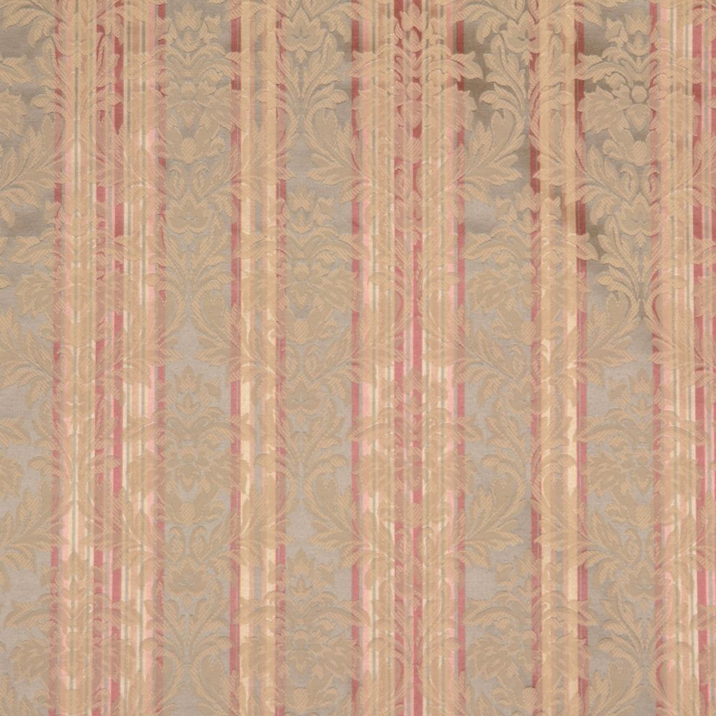 CINDERELLA – BASIL