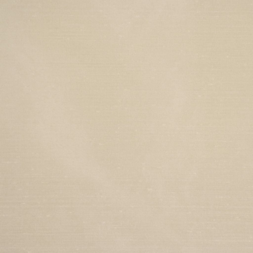 CARINA – CHAMPAGNE