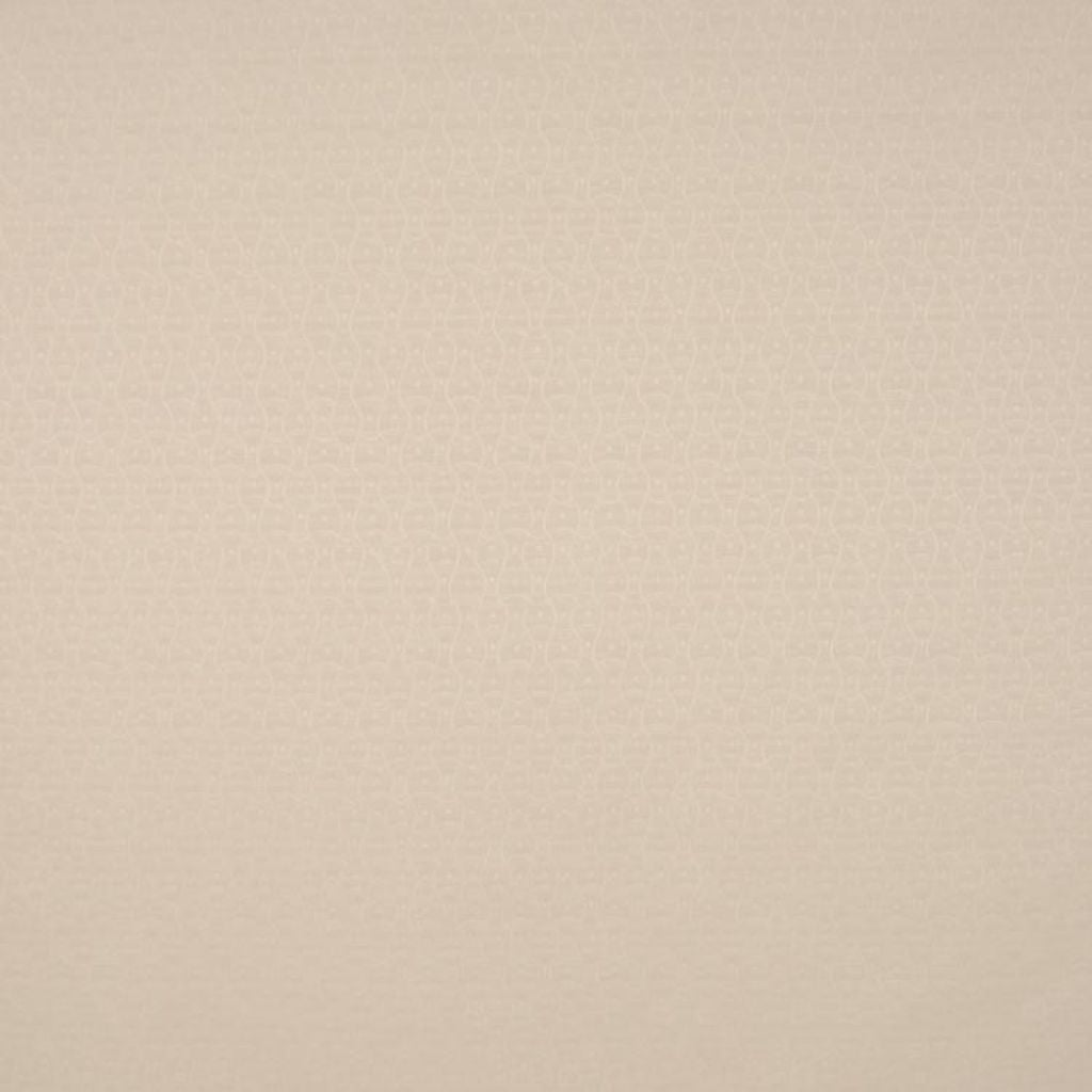 Q880 – 163218 - RM Coco Fabric