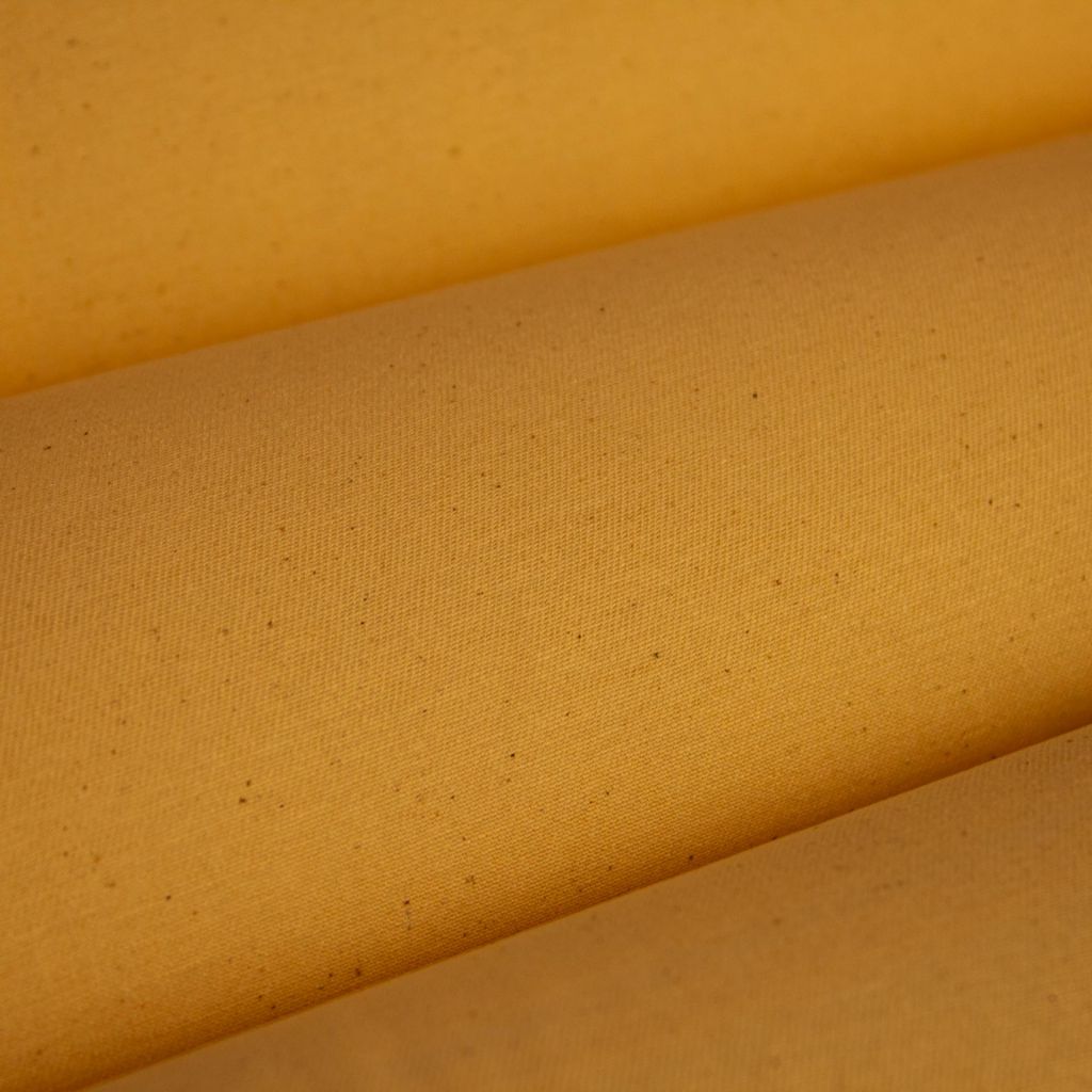 Expedition – Nugget