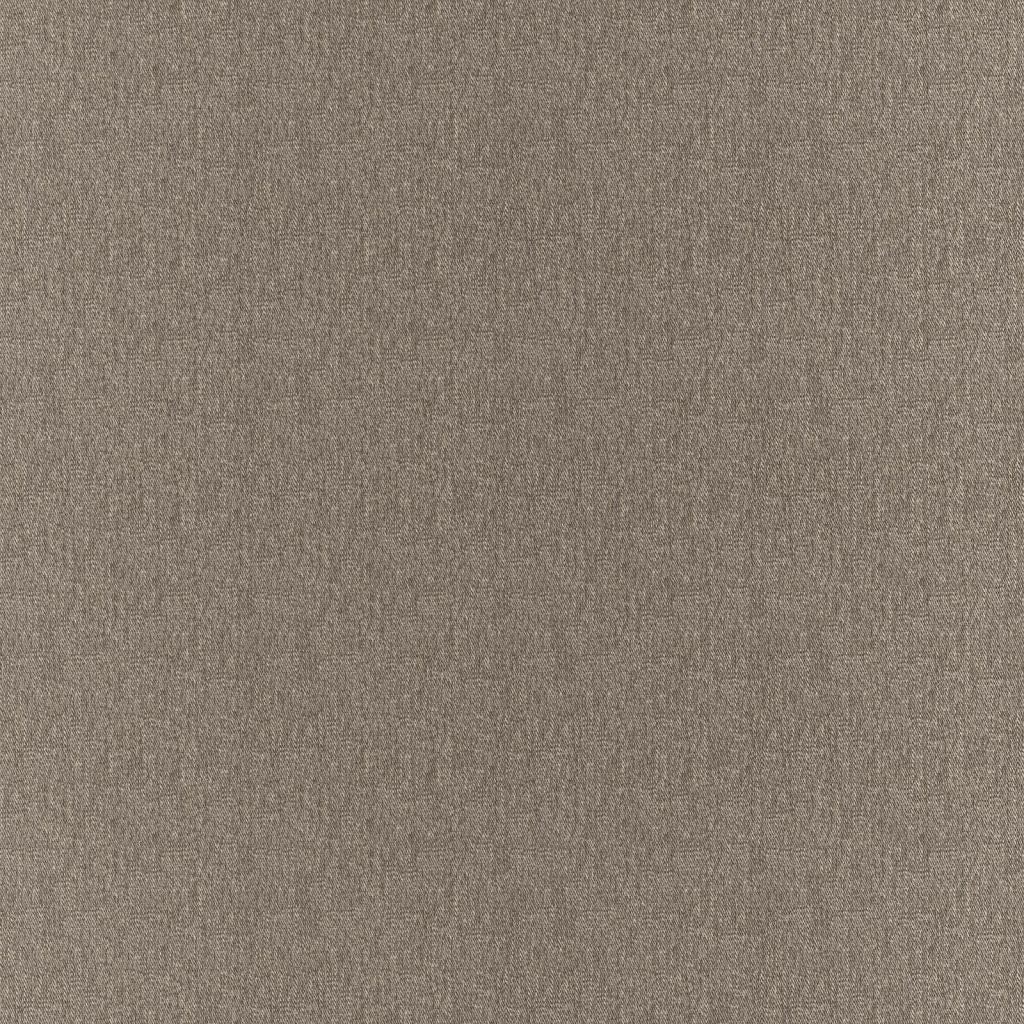 Clubhouse – Fossil