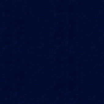 Canvas - Navy