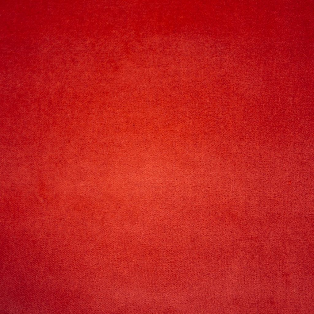 Deluxe Cotton Velvet – Peony