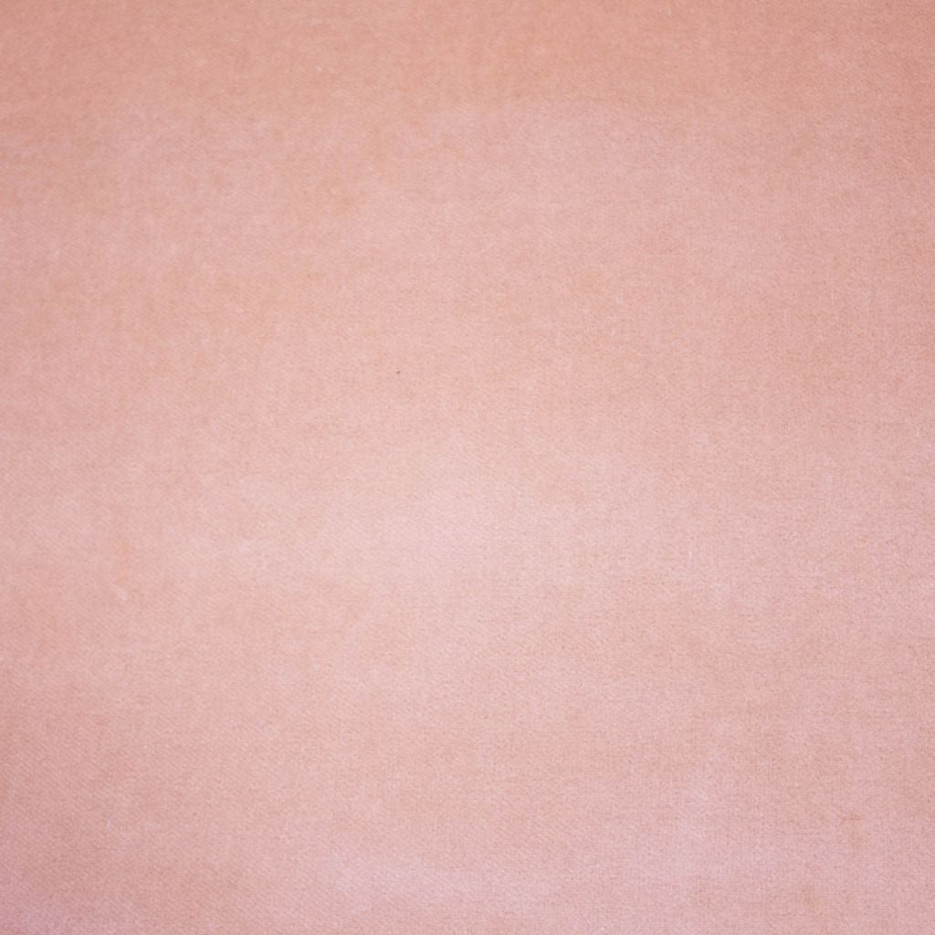 Deluxe Cotton Velvet – Blush