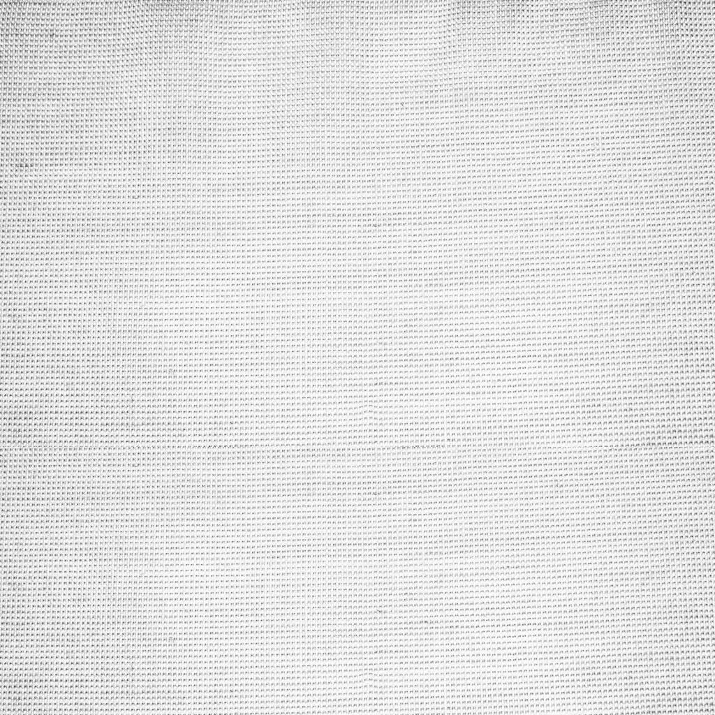 Moonbeam Wide-Width Sheer – Winter White RM Coco Fabric - RM Coco Fabric