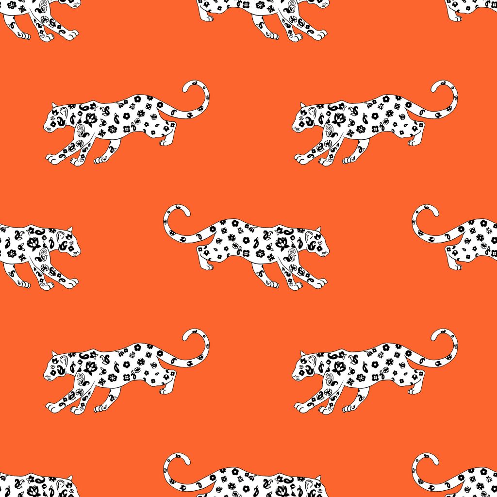 Cool Cat – Orange Slice