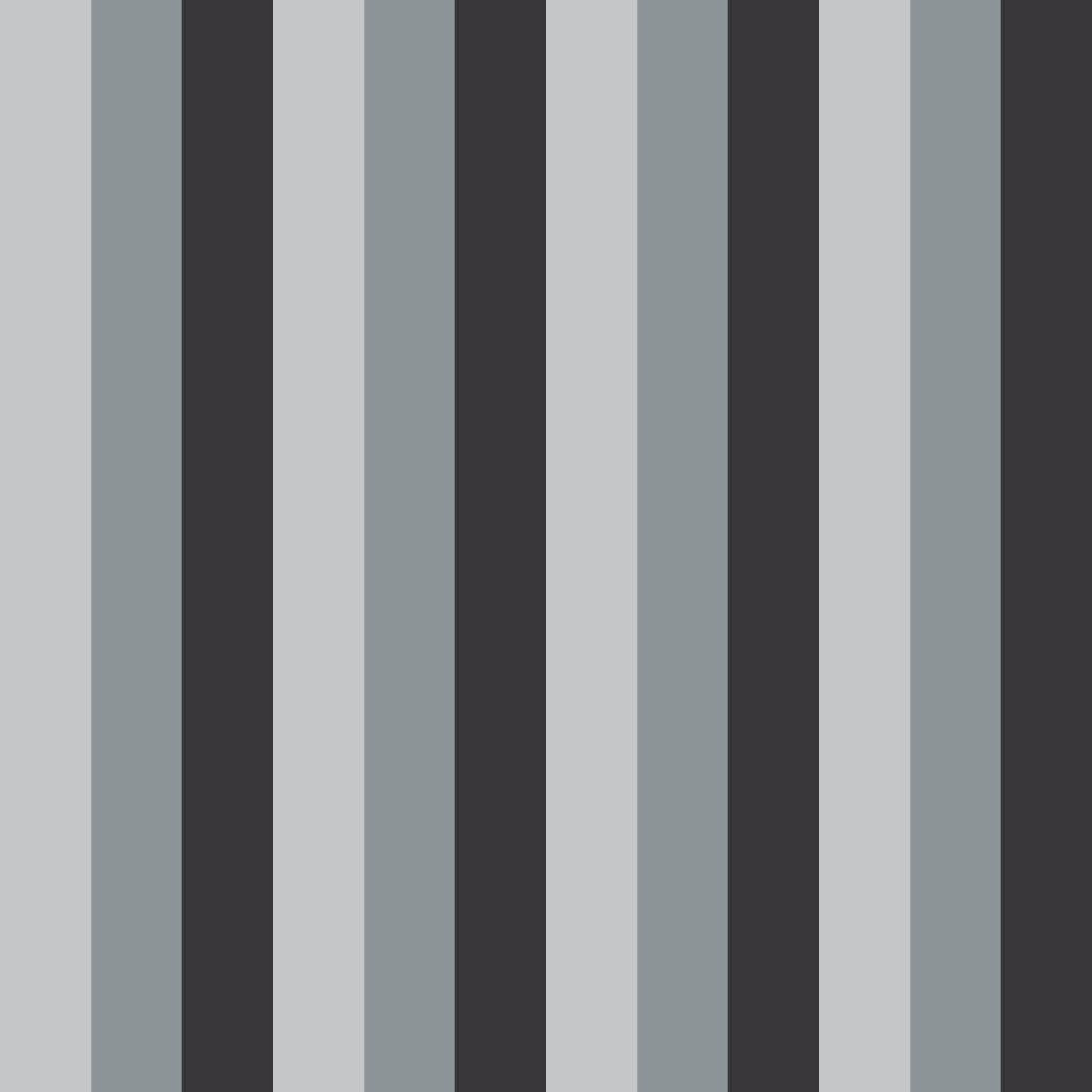 Oakwood Hall Stripe – Charcoal