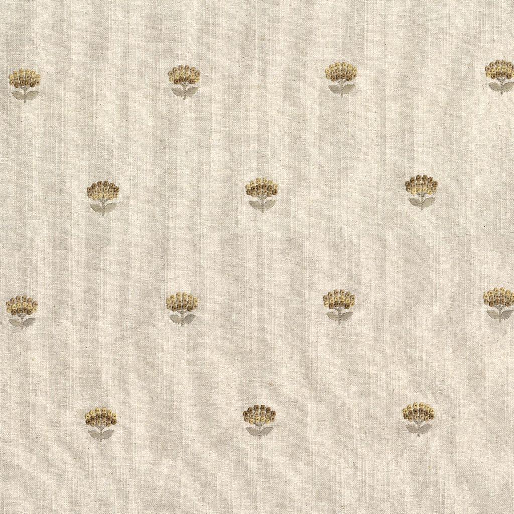 Primrose Garden – Marigold